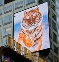 Ultravision Product Spectaculars